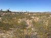 20 N Horseshoe Trl photo